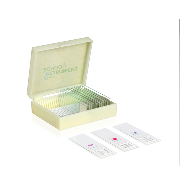 Biology Prepared Slide Set of 13